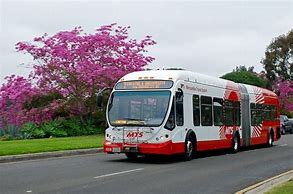 Image result for MTS Bus
