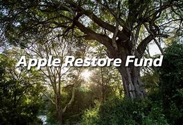 Image result for Apple Restore Fund