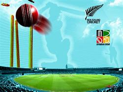 Image result for Best Cricket