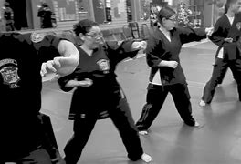 Image result for Kenpo Karate Moves