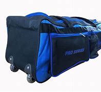 Image result for Cricket Bag with Seat