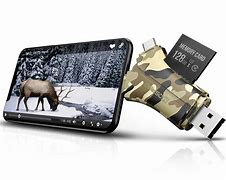 Image result for memory cards readers for cameras