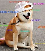 Image result for Lost Doge Meme