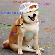 Image result for Funny Doge Meme