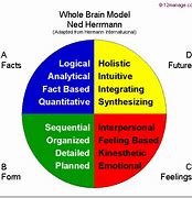 Image result for Whole Brain Thinking Model