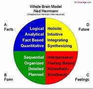 Image result for Whole Brain