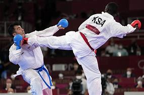 Image result for Karate Olympic Sport