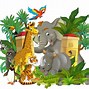 Image result for Selva Cartoon Zoo Clip Art