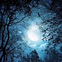 Image result for Night Forest Wallpaper
