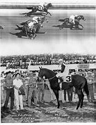 Image result for Race Horse Images