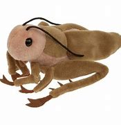 Image result for Cricket Stuffed Animal