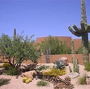 Image result for Desert Landscaping with Cactus