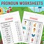 Image result for Types of Pronouns Worksheets PDF