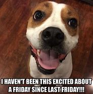 Image result for Funny Friday Dog Memes
