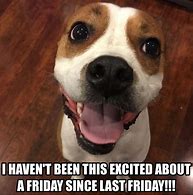 Image result for Payday Animal Memes