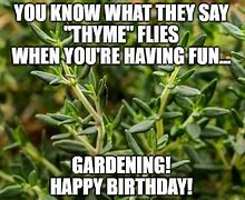 Image result for Happy Birthday Garden Meme