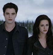 Image result for Twilight Breaking Dawn Book Cover