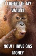 Image result for Money Monkey Meme