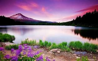 Image result for Lake Scenery