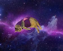 Image result for Galaxy Brain Cat Meme