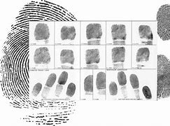 Image result for Fingerprints Done Here. Sign