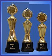 Image result for Sports Award Trophy