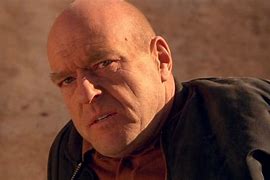 Image result for Asac Schrader Breaking Bad