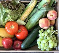 Image result for Farm Fresh Produce Locally Grown