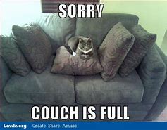 Image result for Meme of Cat Falling into the Couch