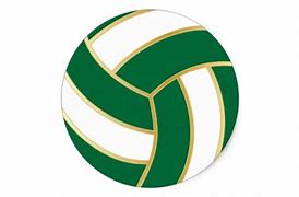 Image result for Volleyball