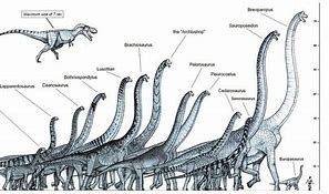 Image result for Heaviest Dinosaur of All Time