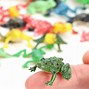 Image result for Small Frog Toy