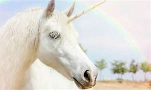 Image result for Real Unicorn Facts