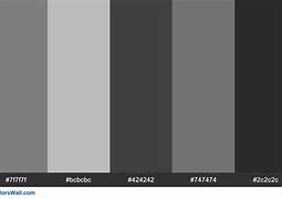 Image result for Design Color Palette
