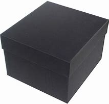 Image result for What's Tis Black Box Onmy iPhone Cord