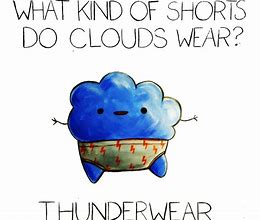 Image result for Funny Pun Cartoons
