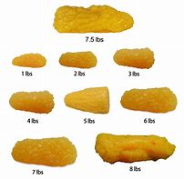 Image result for What Does 1 Pound of Fat Look Like