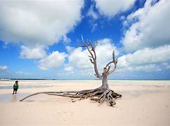 Image result for Eleuthera Island Bahamas