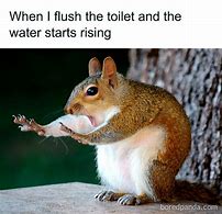 Image result for Very Funny and Relatable Memes
