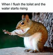 Image result for Relatable Posts. Funny Memes
