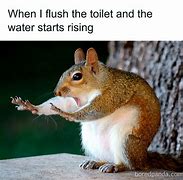 Image result for Relatable Memes That Are Actually Funny