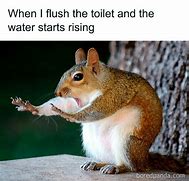 Image result for Relatable Memes