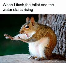 Image result for Funny Memes That Are Relatable
