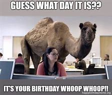 Image result for Happy Birthday Meme Co-Worker the Office