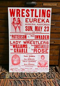 Image result for Pro Wrestling Event Posters