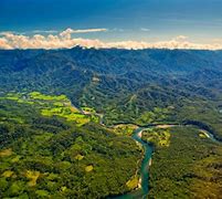 Image result for Myanmar Forest