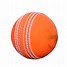Image result for Cricket Activities
