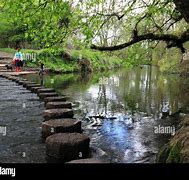 Image result for Box Hill Stepping Stones