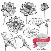 Image result for Illustration Lotus Notes