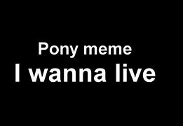 Image result for Sony Pony Memes